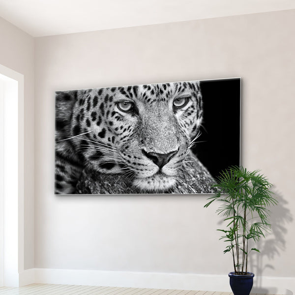 Leopard Glass - Kimy Design