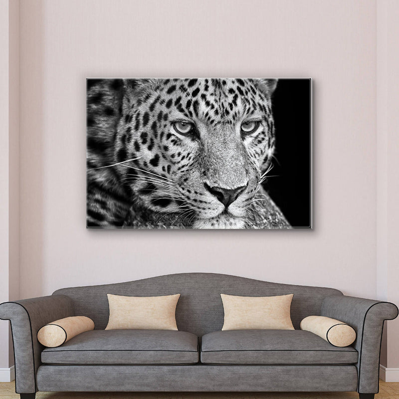 Leopard Plexart - Kimy Design