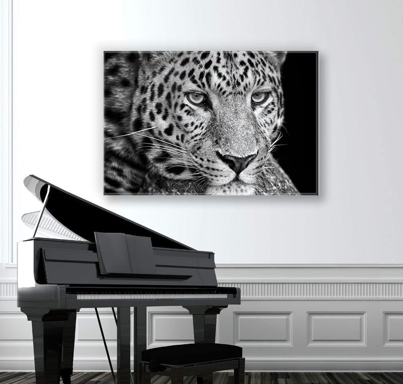 Leopard Plexart - Kimy Design