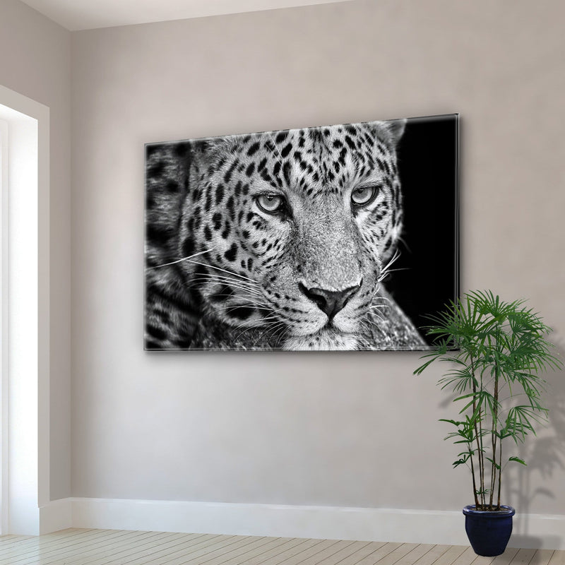 Leopard Plexart - Kimy Design