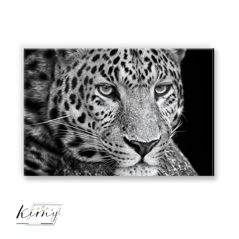 Leopard Plexart - Kimy Design