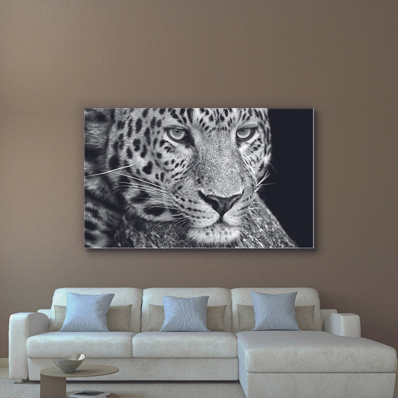 Leopard Plexart - Kimy Design