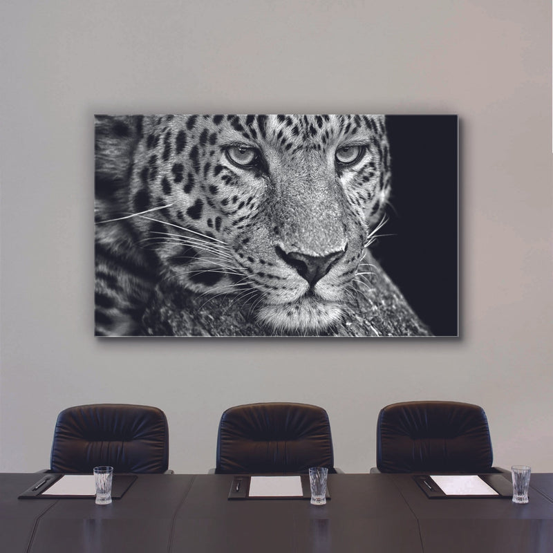 Leopard Plexart - Kimy Design