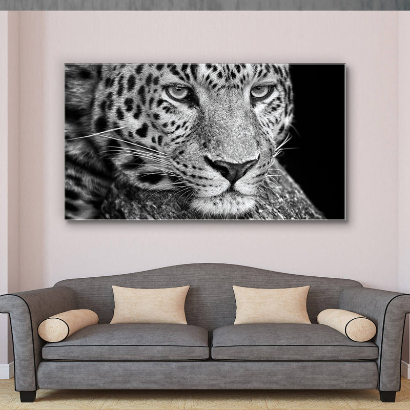 Leopard Plexart - Kimy Design