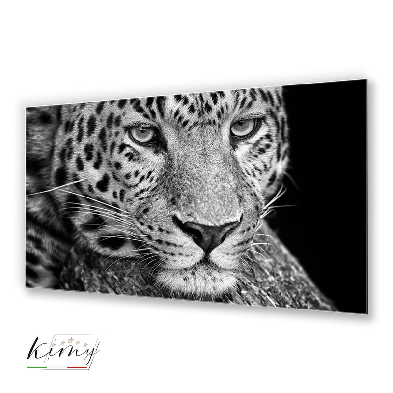 Leopard Plexart - Kimy Design