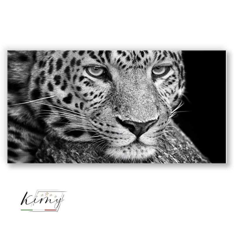 Leopard Plexart - Kimy Design